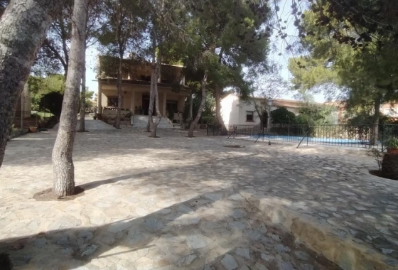 Revente - Villa - Torrevieja - Los Balcones