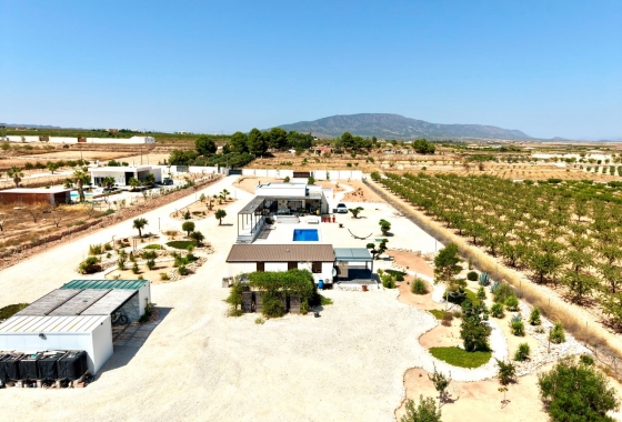 Resale - Villa - Pinoso - Inland