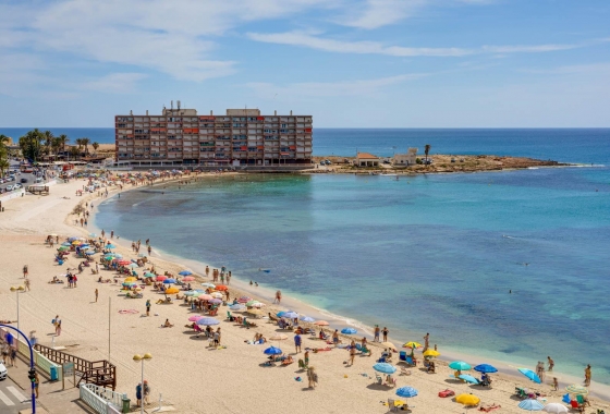 Revente - Appartement - Torrevieja - Antonio Machado