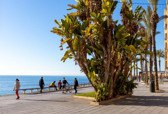 Revente - Appartement - Torrevieja - Antonio Machado