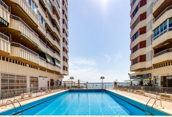 Reventa - Apartamento / piso - Torrevieja - Costa Blanca
