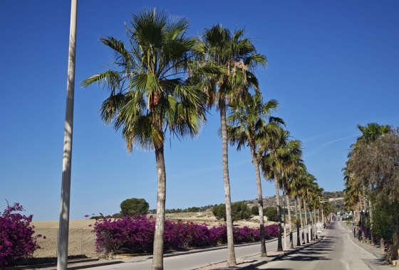 Herverkoop - Villa - Algorfa - Inland