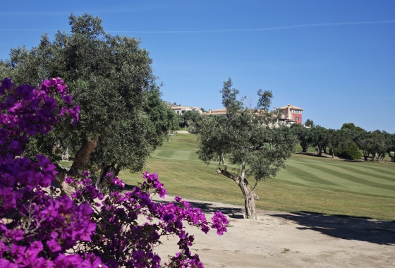 Herverkoop - Villa - Algorfa - Inland