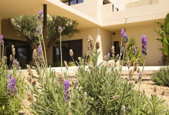 Obra nueva - Villa - La Marina