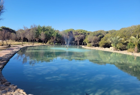 Reventa - Estudio - La Mata