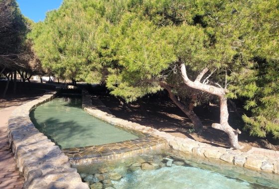 Reventa - Estudio - La Mata