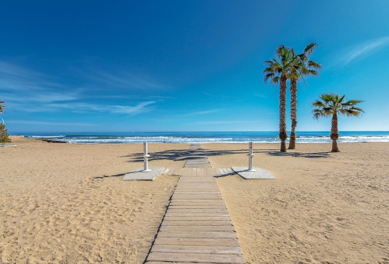 Reventa - Estudio - La Mata