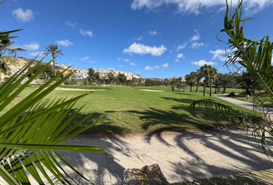 Reventa - Estudio - La Mata
