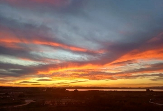 Reventa - Estudio - La Mata
