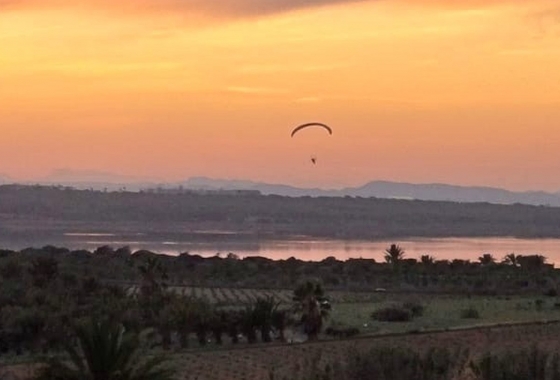 Reventa - Estudio - La Mata