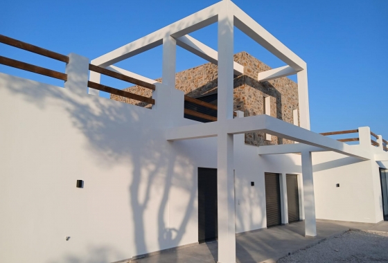 New Build - Villa - Pinoso - Casas Pastor