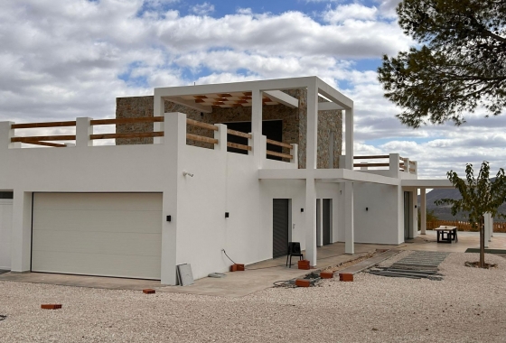 New Build - Villa - Pinoso - Casas Pastor
