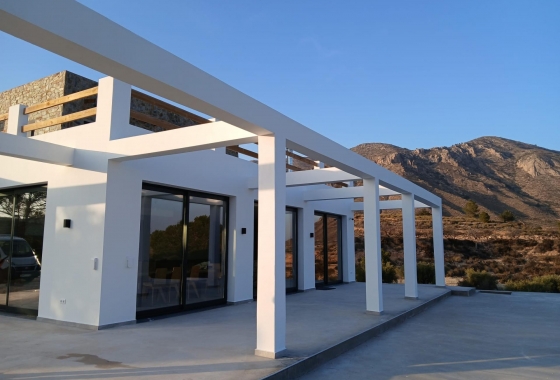 New Build - Villa - Pinoso - Casas Pastor