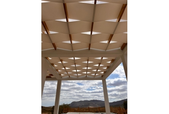 New Build - Villa - Pinoso - Casas Pastor