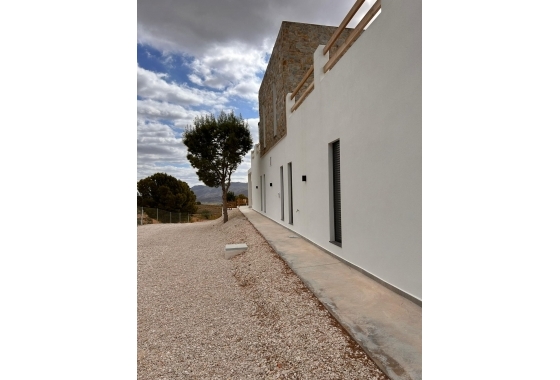 New Build - Villa - Pinoso - Casas Pastor