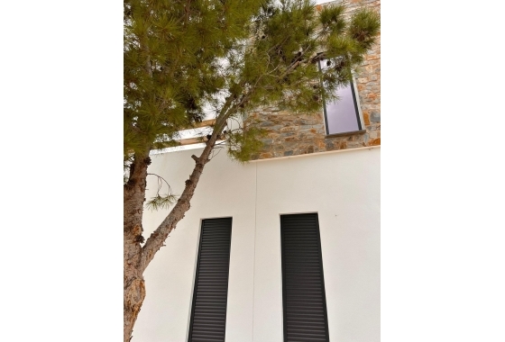 New Build - Villa - Pinoso - Casas Pastor
