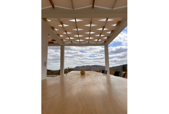 New Build - Villa - Pinoso - Casas Pastor