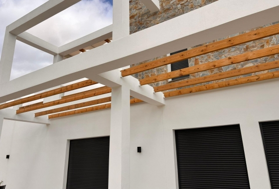 New Build - Villa - Pinoso - Casas Pastor