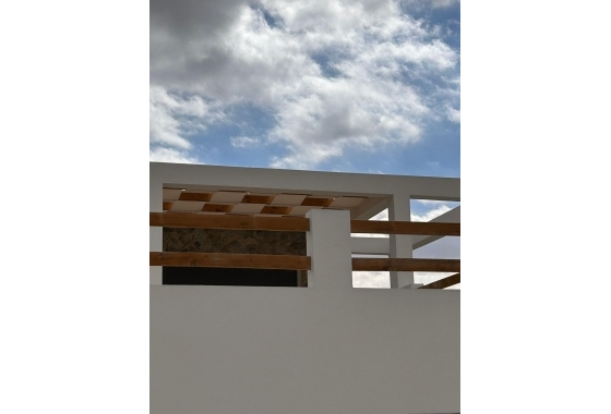 New Build - Villa - Pinoso - Casas Pastor