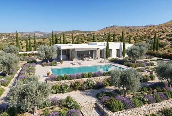 New Build - Villa - Pinoso - Casas Pastor