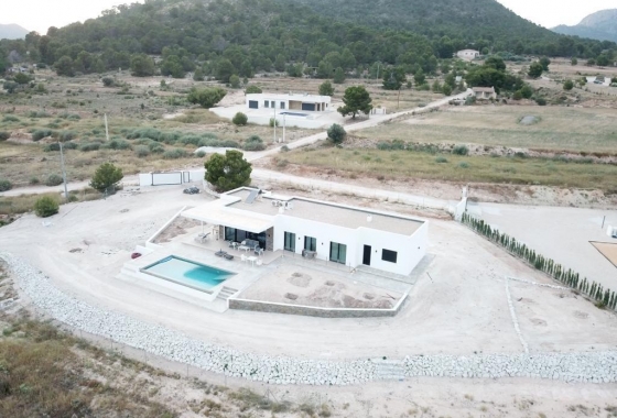 New Build - Villa - Pinoso - Casas Pastor
