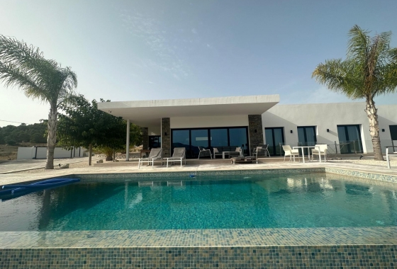 New Build - Villa - Pinoso - Casas Pastor
