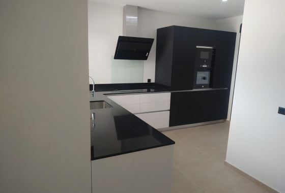 New Build - Villa - Pinoso - Casas Pastor