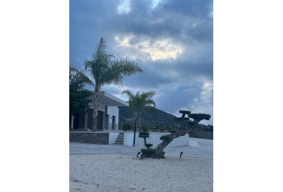 New Build - Villa - Pinoso - Casas Pastor