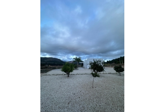 New Build - Villa - Pinoso - Casas Pastor