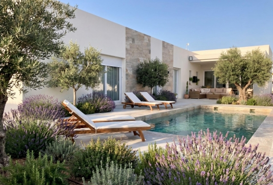 New Build - Villa - Pinoso - Casas Pastor
