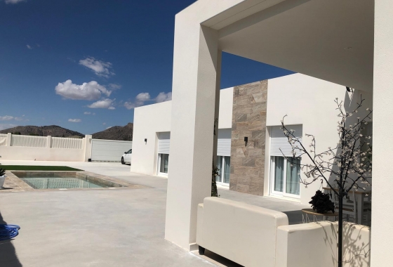 New Build - Villa - Pinoso - Casas Pastor