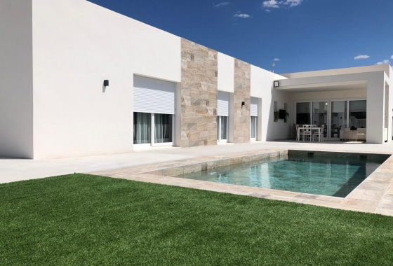 New Build - Villa - Pinoso - Casas Pastor