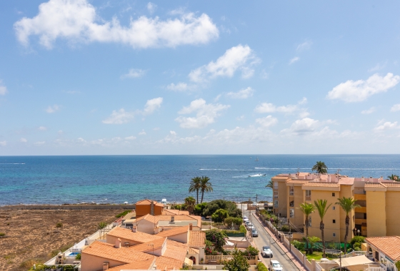 Wiederverkauf - Wohnung - Torrevieja - Costa Blanca
