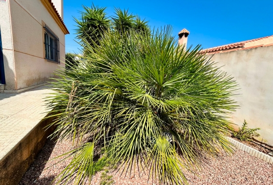 Återförsäljning - Villa - Torrevieja - Costa Blanca