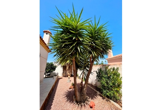 Återförsäljning - Villa - Torrevieja - Costa Blanca