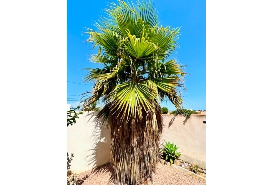 Återförsäljning - Villa - Torrevieja - Costa Blanca