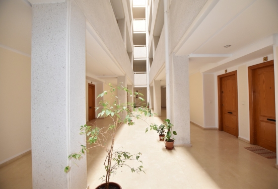 Resale - Apartment / flat - La Mata - Costa Blanca