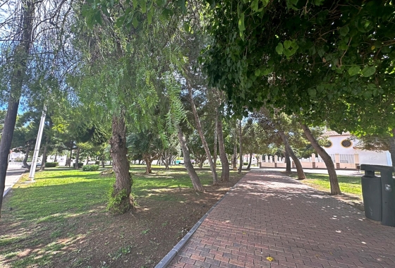 Wiederverkauf - Stadthaus - Torrevieja - Calas Blanca