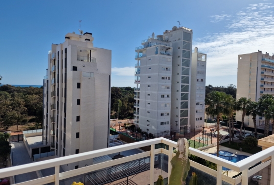 Herverkoop - Appartement / flat - Guardamar del Segura - SUP-7 & Port Area