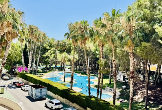 Resale - Apartment / flat - Orihuela Costa - Altos De Campoamor