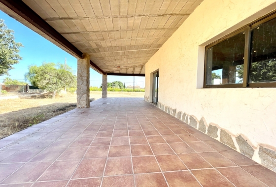 Resale - Finca - Elche - Costa Blanca