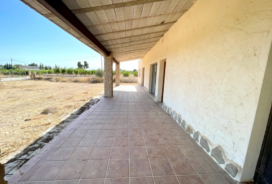 Resale - Finca - Elche - Costa Blanca