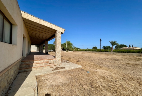 Resale - Finca - Elche - Costa Blanca