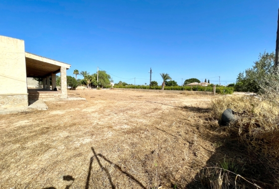 Resale - Finca - Elche - Costa Blanca