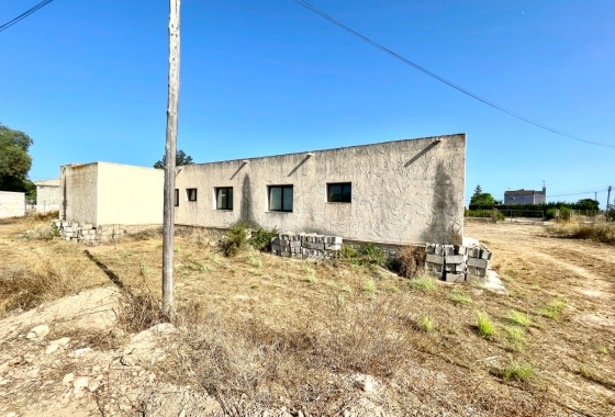Resale - Finca - Elche - Costa Blanca