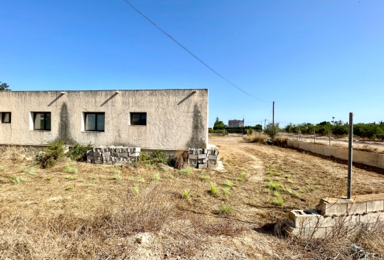 Resale - Finca - Elche - Costa Blanca