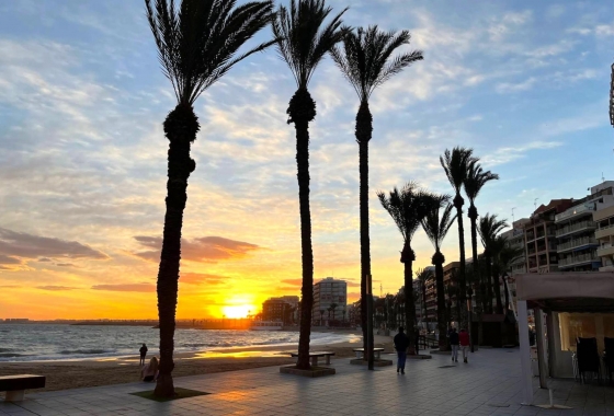 Resale - Apartment / flat - Torrevieja - Playa del Cura