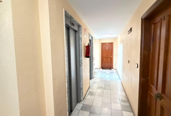 Перепродажа - Квартира - Torrevieja - Centro - Muelle Pesquero