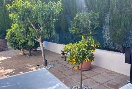 Resale - Townhouse - Torrevieja - Los Balcones