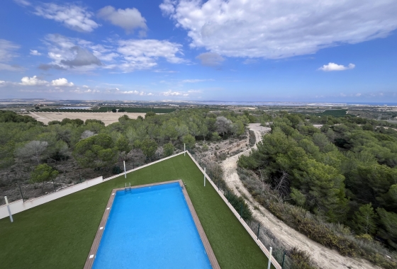 Resale - Apartment / flat - San Miguel de Salinas - Inland